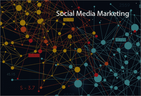 Social Media Marketing Services
